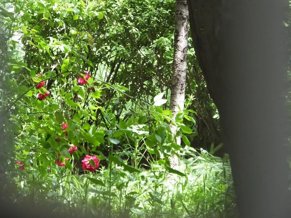 Апартаменты 34 Yueksel Garden Анкара